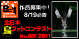 50アクロ＋フラットナー：バラ　2011/05/27