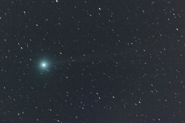 55FL(x1.1 ラブジョイ彗星).jpg