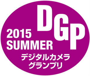 DGP2015s_Logo.jpg