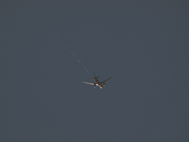 PB117834s.jpg