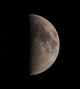 125SD＋7704：星雲　2011/01/12