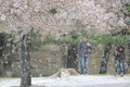71ＦＬ＋1.08×＋Ｄ700：桜吹雪　2011/04/18