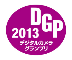 dcgp2013_logo_thumb.jpg