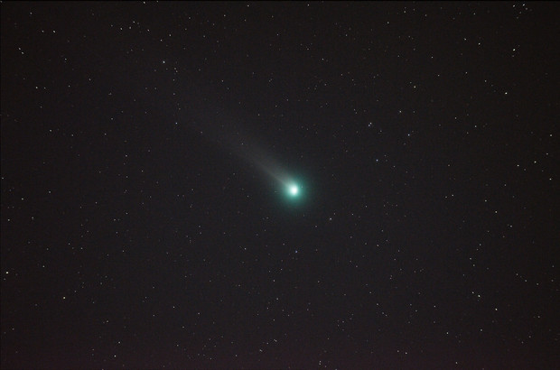 lovejoy20131124.JPG