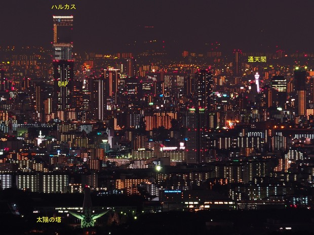 P1150094_m.jpg