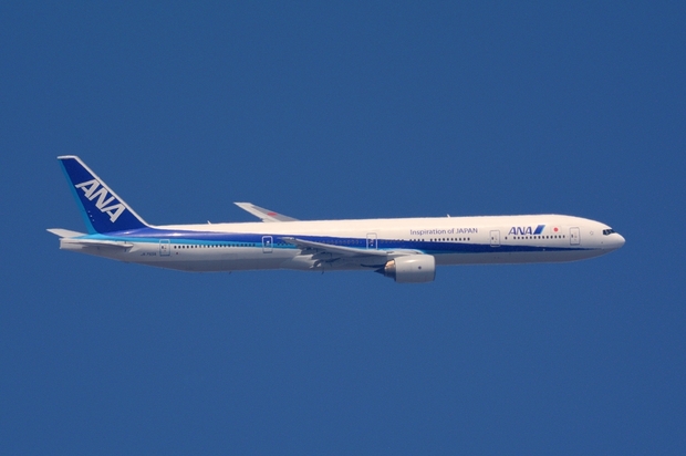 ANA B777-300.jpg