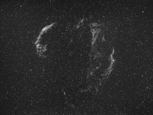 網状星雲(55FL 0.8x Hα ST-8300M 10分x16).jpg