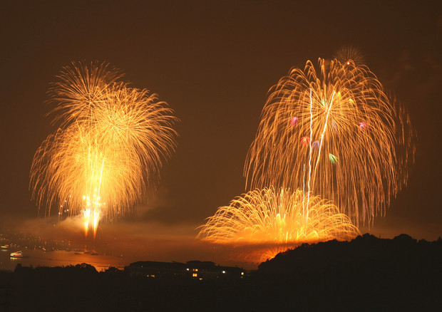 花火大会2(55FL 0.8x 5DMark2 トリミング ピクセル等倍).jpg