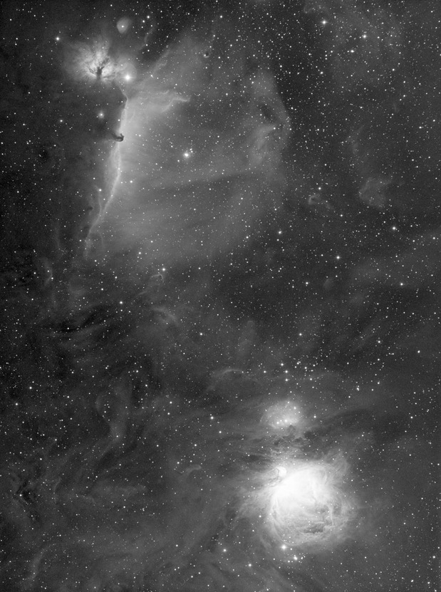 55FL(オリオン大星雲・馬頭星雲 Hα ST-8300M 10分x28)s2.jpg