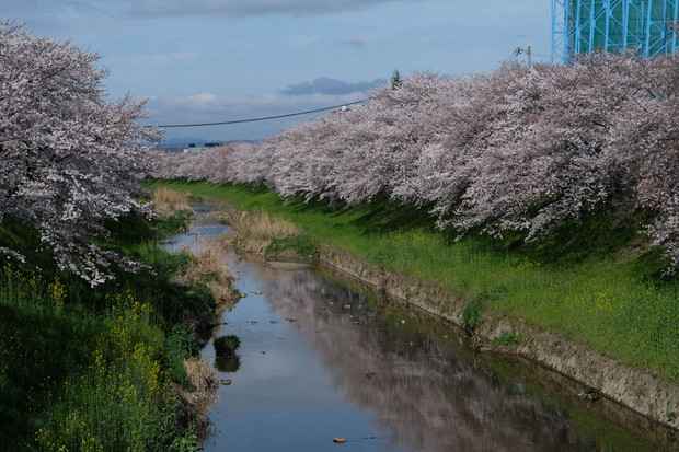 DSCF3304s1.JPG
