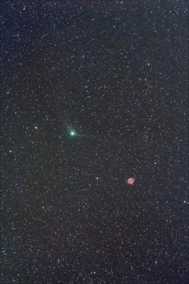 Panstars55FL+Df_CmtOnlyMed3SgmAWB炙_1200.jpg