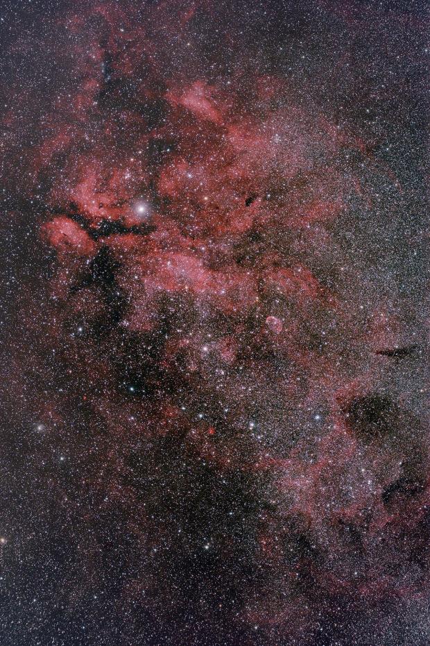 ic1318_d810a_55fl-200_lprn_hd.jpg