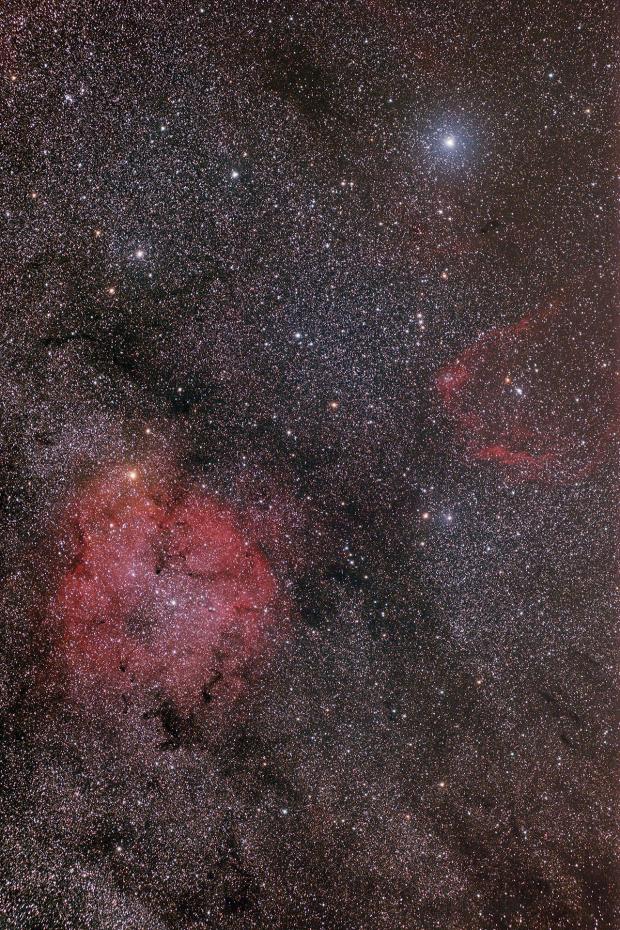 ic1396_d810a_55fl-200_lprn_hd.jpg