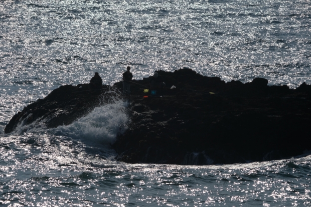 DSCF6493xs1.JPG