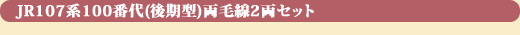 JR107系100番代(後期型)両毛線2両セット