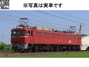 JR EF81形電気機関車（カシオペア色）｜製品情報｜製品検索