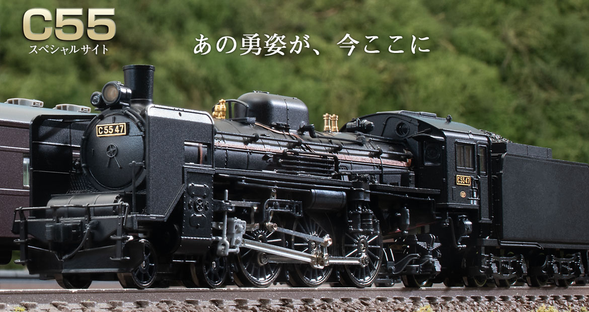topimage5